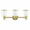 Budget 🔥 Traditional Livex Lighting Middlebush 3 Light Bathroom Vanity Light 🎁 -Vaxcel Shop masterLXL3411