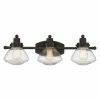 Buy 🔔 Transitional Quoizel Scholar SCH8603PN 3 Light Bathroom Vanity Light 🎁